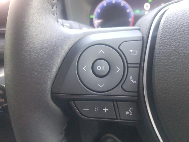 RAV4 G 4WD 全周囲カメラ クリアランスソナー オートクルーズコントロール レーンアシスト パワーシート 衝突被害軽減システム ナビ TV オートマチックハイビーム LEDヘッドランプ 電動リアゲート(10枚目)