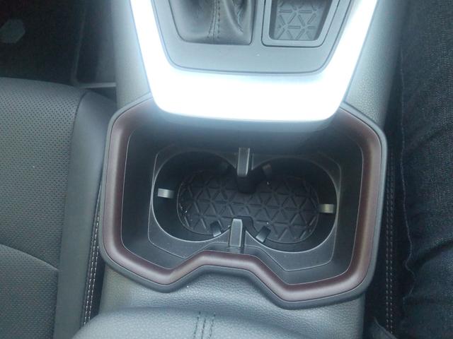 RAV4 G 4WD 全周囲カメラ クリアランスソナー オートクルーズコントロール レーンアシスト パワーシート 衝突被害軽減システム ナビ TV オートマチックハイビーム LEDヘッドランプ 電動リアゲート(28枚目)