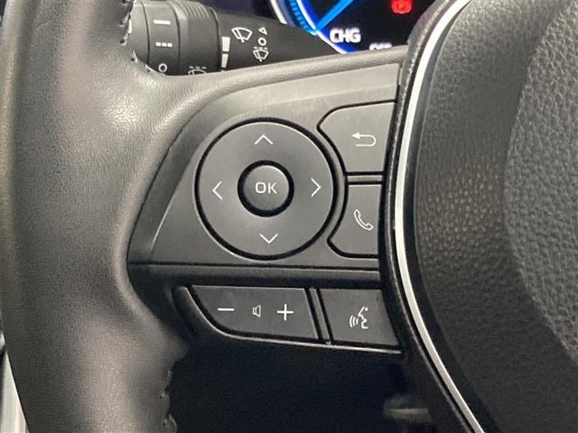 ＲＡＶ４ ハイブリッドアドベンチャー　サンルーフ　４ＷＤ　ミュージックプレイヤー接続可　バックカメラ　衝突被害軽減システム　ＥＴＣ　ＬＥＤヘッドランプ（19枚目）