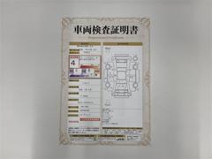 �ץꥦ�� �ӡ���󥻥������꡼�ʥӡ��ߥ塼���å��ץ쥤�䡼��³�ġ��Хå������ 0708154A20251210T010 3