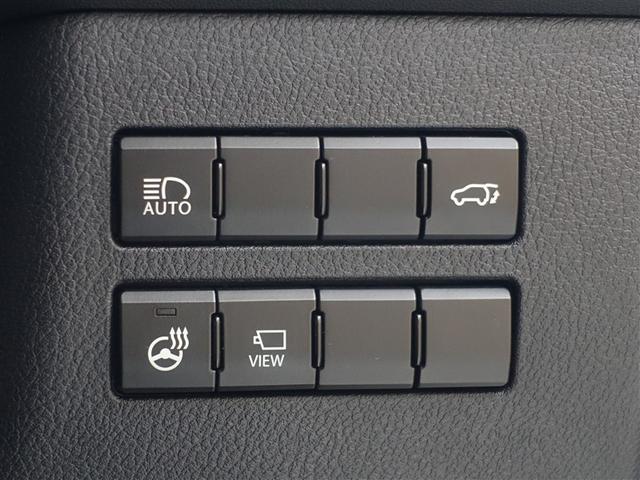 NX NX300ブラックシークエンス ブラックシークエンス☆三眼LEDヘッドライト・黒革シート・純正ナビ・パワーバックドア(24枚目)