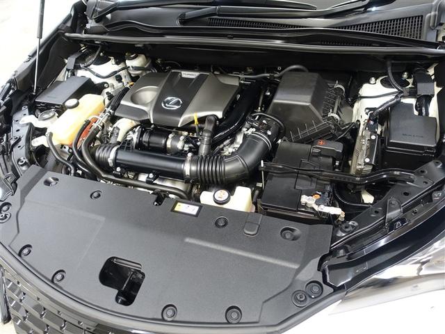 NX NX300ブラックシークエンス ブラックシークエンス☆三眼LEDヘッドライト・黒革シート・純正ナビ・パワーバックドア(36枚目)