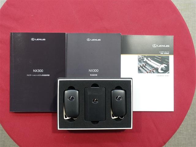 NX NX300ブラックシークエンス ブラックシークエンス☆三眼LEDヘッドライト・黒革シート・純正ナビ・パワーバックドア(37枚目)