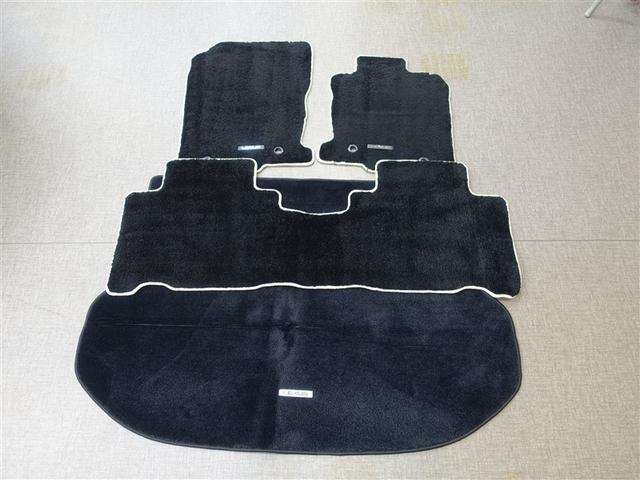 NX NX300ブラックシークエンス ブラックシークエンス☆三眼LEDヘッドライト・黒革シート・純正ナビ・パワーバックドア(38枚目)