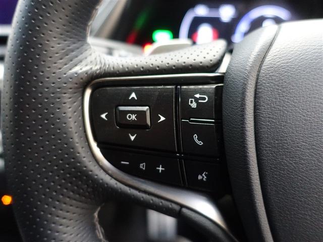 ES ES300h Fスポーツ 革シート サンルーフ フルセグ メモリーナビ DVD再生 ミュージックプレイヤー接続可 バックカメラ 衝突被害軽減システム ETC LEDヘッドランプ(18枚目)