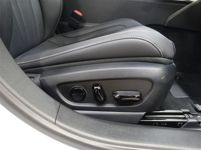 ES ES300h Fスポーツ 革シート サンルーフ フルセグ メモリーナビ DVD再生 ミュージックプレイヤー接続可 バックカメラ 衝突被害軽減システム ETC LEDヘッドランプ(28枚目)