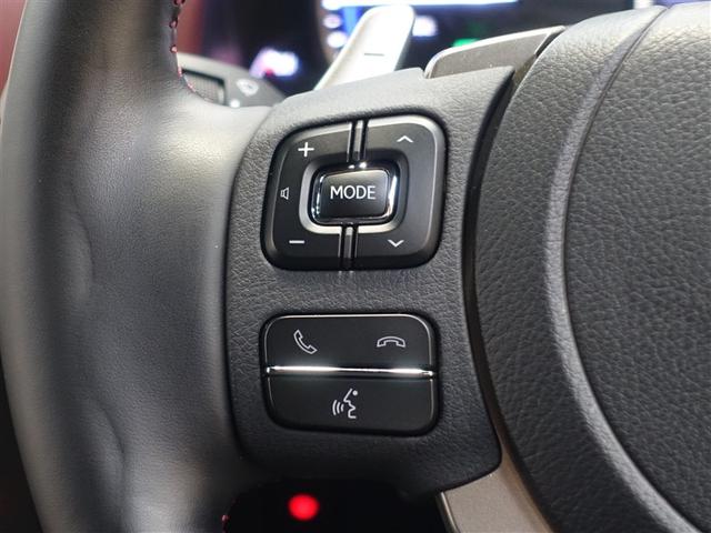 ＮＸ ＮＸ３００ｈ　スパイス＆シック　サンルーフ　フルセグ　メモリーナビ　ＤＶＤ再生　ミュージックプレイヤー接続可　バックカメラ　衝突被害軽減システム　ＥＴＣ　ＬＥＤヘッドランプ（18枚目）