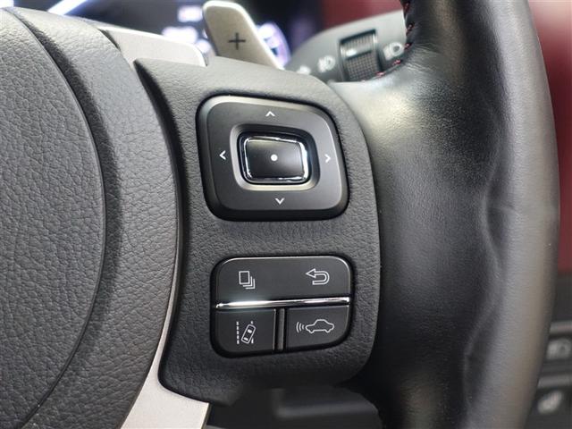 ＮＸ ＮＸ３００ｈ　スパイス＆シック　サンルーフ　フルセグ　メモリーナビ　ＤＶＤ再生　ミュージックプレイヤー接続可　バックカメラ　衝突被害軽減システム　ＥＴＣ　ＬＥＤヘッドランプ（19枚目）