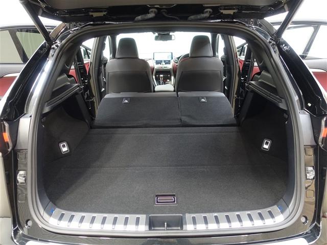 ＮＸ ＮＸ３００ｈ　スパイス＆シック　サンルーフ　フルセグ　メモリーナビ　ＤＶＤ再生　ミュージックプレイヤー接続可　バックカメラ　衝突被害軽減システム　ＥＴＣ　ＬＥＤヘッドランプ（29枚目）