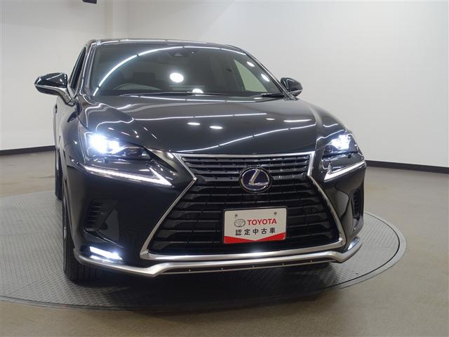 ＮＸ ＮＸ３００ｈ　スパイス＆シック　サンルーフ　フルセグ　メモリーナビ　ＤＶＤ再生　ミュージックプレイヤー接続可　バックカメラ　衝突被害軽減システム　ＥＴＣ　ＬＥＤヘッドランプ（31枚目）