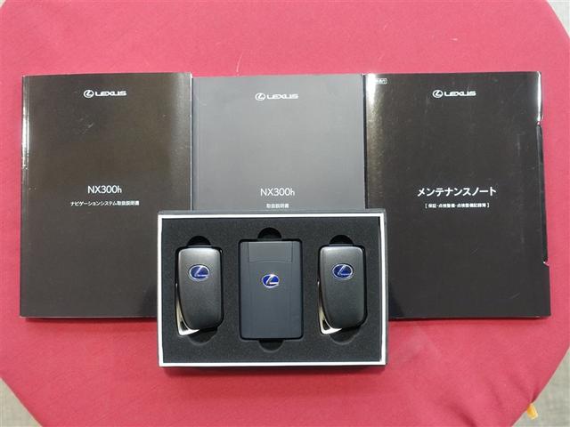 ＮＸ ＮＸ３００ｈ　スパイス＆シック　サンルーフ　フルセグ　メモリーナビ　ＤＶＤ再生　ミュージックプレイヤー接続可　バックカメラ　衝突被害軽減システム　ＥＴＣ　ＬＥＤヘッドランプ（37枚目）