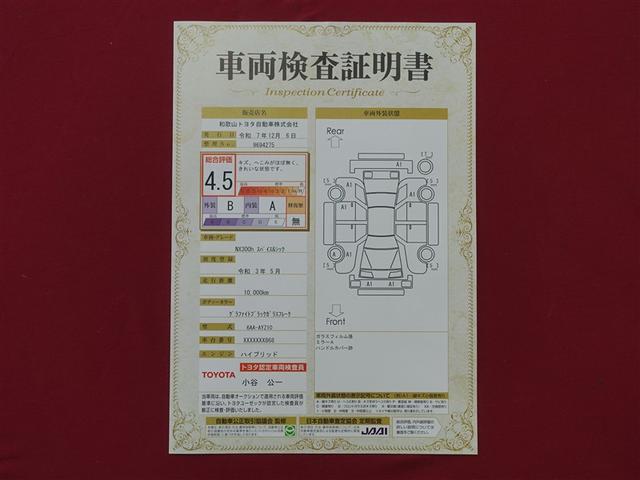 ＮＸ ＮＸ３００ｈ　スパイス＆シック　サンルーフ　フルセグ　メモリーナビ　ＤＶＤ再生　ミュージックプレイヤー接続可　バックカメラ　衝突被害軽減システム　ＥＴＣ　ＬＥＤヘッドランプ（40枚目）