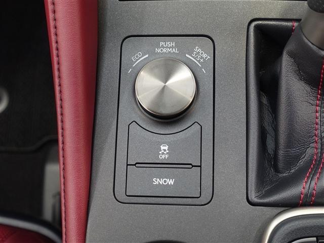 RC RC350 Fスポーツ 革シート サンルーフ フルセグ メモリーナビ DVD再生 ミュージックプレイヤー接続可 バックカメラ 衝突被害軽減システム ETC LEDヘッドランプ ワンオーナー(19枚目)