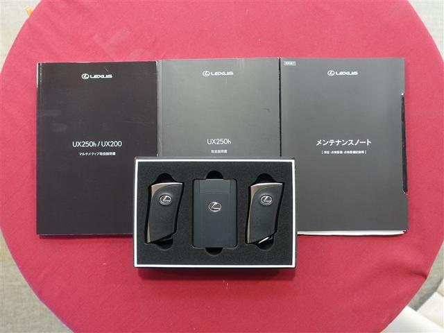 ＵＸ ＵＸ２５０ｈ　グレイスフル　エクスプローラー　フルセグ　メモリーナビ　ミュージックプレイヤー接続可　バックカメラ　衝突被害軽減システム　ＥＴＣ　ドラレコ　ＬＥＤヘッドランプ（37枚目）