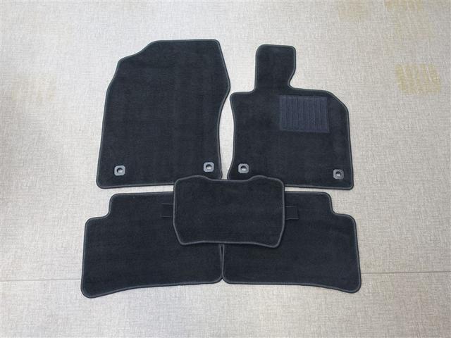 ＵＸ ＵＸ２５０ｈ　グレイスフル　エクスプローラー　フルセグ　メモリーナビ　ミュージックプレイヤー接続可　バックカメラ　衝突被害軽減システム　ＥＴＣ　ドラレコ　ＬＥＤヘッドランプ（38枚目）