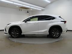 Σ Σأ衡ƥݡġեȡ롼 0708156A20251024T001 7