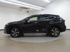 ŹؤǽȤʤäƤޤաݣãץ饶²λ󥿡Źޤľܤ䤤碌 7