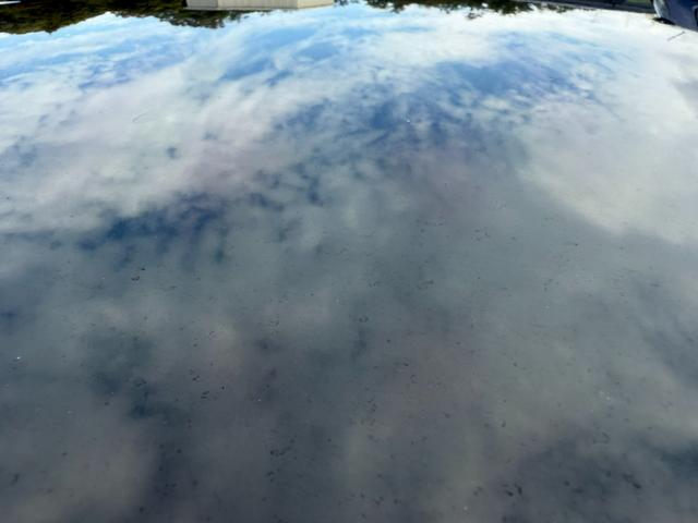 ヴォクシー ZS 煌 Bluetooth ETC スマートキー バックカメラ 両側電動スライドドア 横滑り防止 サンシェード プッシュスタート オートライト 純正ステアリング(44枚目)