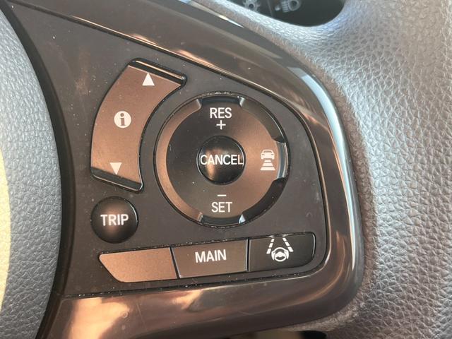 N-BOX G・Lホンダセンシング(23枚目)