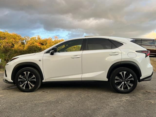 ＮＸ ＮＸ３００　Ｆスポーツ　アクティブクルーズコントロール　３６０度カメラ　電動リアゲート　ハンドルヒーター　オートワイパー　ブレーキーホールド　シートヒーター　シートエアコン　ＥＴＣ　フルセグ視聴航行中ＯＫ　革シート（6枚目）