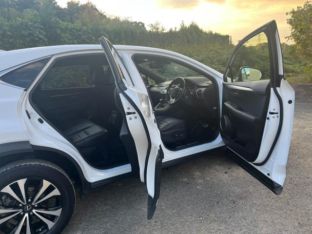 ＮＸ ＮＸ３００　Ｆスポーツ　アクティブクルーズコントロール　３６０度カメラ　電動リアゲート　ハンドルヒーター　オートワイパー　ブレーキーホールド　シートヒーター　シートエアコン　ＥＴＣ　フルセグ視聴航行中ＯＫ　革シート（9枚目）