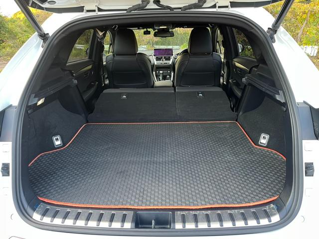 ＮＸ ＮＸ３００　Ｆスポーツ　アクティブクルーズコントロール　３６０度カメラ　電動リアゲート　ハンドルヒーター　オートワイパー　ブレーキーホールド　シートヒーター　シートエアコン　ＥＴＣ　フルセグ視聴航行中ＯＫ　革シート（13枚目）