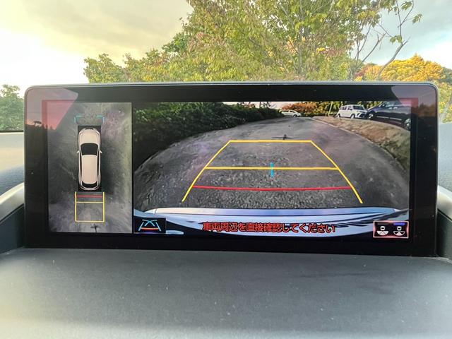 ＮＸ ＮＸ３００　Ｆスポーツ　アクティブクルーズコントロール　３６０度カメラ　電動リアゲート　ハンドルヒーター　オートワイパー　ブレーキーホールド　シートヒーター　シートエアコン　ＥＴＣ　フルセグ視聴航行中ＯＫ　革シート（20枚目）