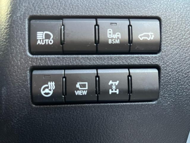 ＮＸ ＮＸ３００　Ｆスポーツ　アクティブクルーズコントロール　３６０度カメラ　電動リアゲート　ハンドルヒーター　オートワイパー　ブレーキーホールド　シートヒーター　シートエアコン　ＥＴＣ　フルセグ視聴航行中ＯＫ　革シート（22枚目）