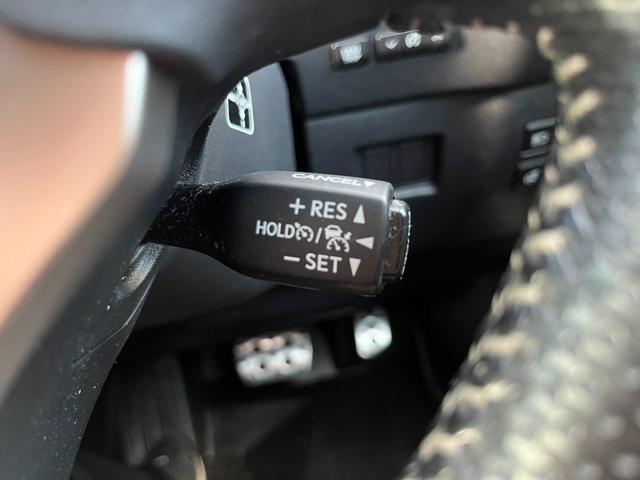 ＮＸ ＮＸ３００　Ｆスポーツ　アクティブクルーズコントロール　３６０度カメラ　電動リアゲート　ハンドルヒーター　オートワイパー　ブレーキーホールド　シートヒーター　シートエアコン　ＥＴＣ　フルセグ視聴航行中ＯＫ　革シート（26枚目）