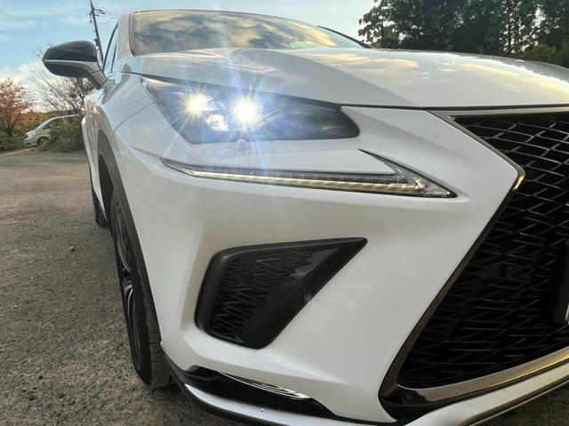 ＮＸ ＮＸ３００　Ｆスポーツ　アクティブクルーズコントロール　３６０度カメラ　電動リアゲート　ハンドルヒーター　オートワイパー　ブレーキーホールド　シートヒーター　シートエアコン　ＥＴＣ　フルセグ視聴航行中ＯＫ　革シート（46枚目）