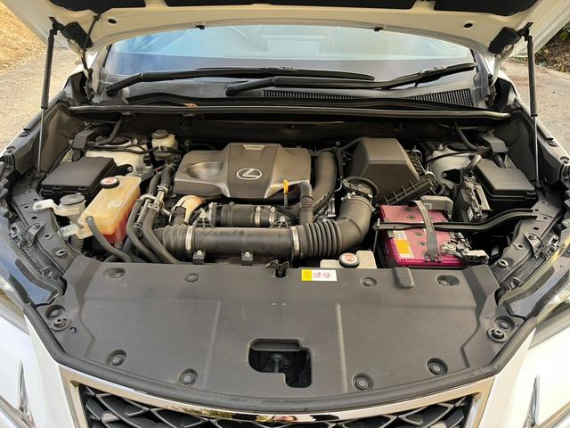 ＮＸ ＮＸ３００　Ｆスポーツ　アクティブクルーズコントロール　３６０度カメラ　電動リアゲート　ハンドルヒーター　オートワイパー　ブレーキーホールド　シートヒーター　シートエアコン　ＥＴＣ　フルセグ視聴航行中ＯＫ　革シート（50枚目）