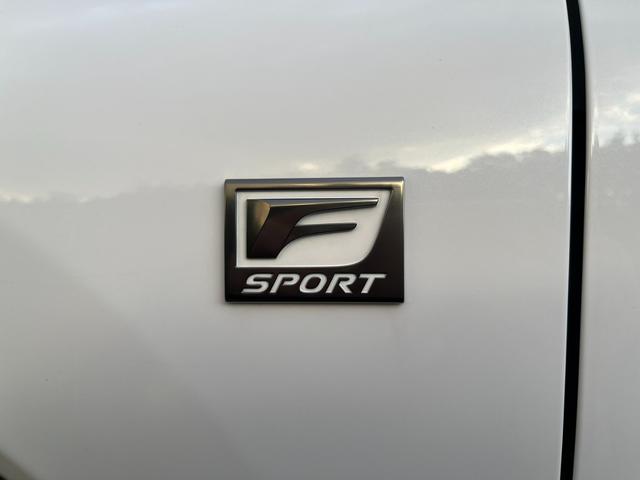 ＮＸ ＮＸ３００　Ｆスポーツ　アクティブクルーズコントロール　３６０度カメラ　電動リアゲート　ハンドルヒーター　オートワイパー　ブレーキーホールド　シートヒーター　シートエアコン　ＥＴＣ　フルセグ視聴航行中ＯＫ　革シート（52枚目）