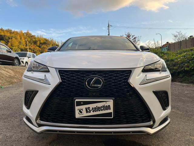 ＮＸ ＮＸ３００　Ｆスポーツ　アクティブクルーズコントロール　３６０度カメラ　電動リアゲート　ハンドルヒーター　オートワイパー　ブレーキーホールド　シートヒーター　シートエアコン　ＥＴＣ　フルセグ視聴航行中ＯＫ　革シート（55枚目）