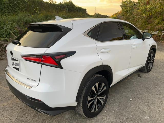 ＮＸ ＮＸ３００　Ｆスポーツ　アクティブクルーズコントロール　３６０度カメラ　電動リアゲート　ハンドルヒーター　オートワイパー　ブレーキーホールド　シートヒーター　シートエアコン　ＥＴＣ　フルセグ視聴航行中ＯＫ　革シート（58枚目）