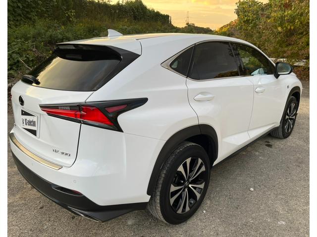 ＮＸ ＮＸ３００　Ｆスポーツ　アクティブクルーズコントロール　３６０度カメラ　電動リアゲート　ハンドルヒーター　オートワイパー　ブレーキーホールド　シートヒーター　シートエアコン　ＥＴＣ　フルセグ視聴航行中ＯＫ　革シート（62枚目）