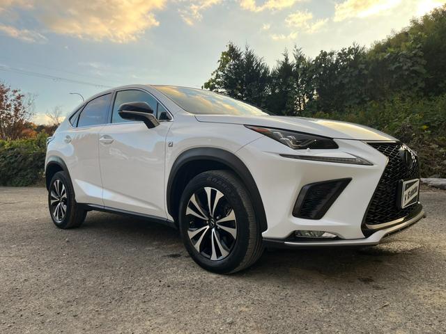 ＮＸ ＮＸ３００　Ｆスポーツ　アクティブクルーズコントロール　３６０度カメラ　電動リアゲート　ハンドルヒーター　オートワイパー　ブレーキーホールド　シートヒーター　シートエアコン　ＥＴＣ　フルセグ視聴航行中ＯＫ　革シート（63枚目）