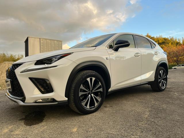 ＮＸ ＮＸ３００　Ｆスポーツ　アクティブクルーズコントロール　３６０度カメラ　電動リアゲート　ハンドルヒーター　オートワイパー　ブレーキーホールド　シートヒーター　シートエアコン　ＥＴＣ　フルセグ視聴航行中ＯＫ　革シート（64枚目）