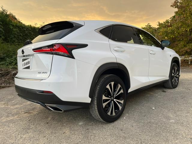 ＮＸ ＮＸ３００　Ｆスポーツ　アクティブクルーズコントロール　３６０度カメラ　電動リアゲート　ハンドルヒーター　オートワイパー　ブレーキーホールド　シートヒーター　シートエアコン　ＥＴＣ　フルセグ視聴航行中ＯＫ　革シート（67枚目）