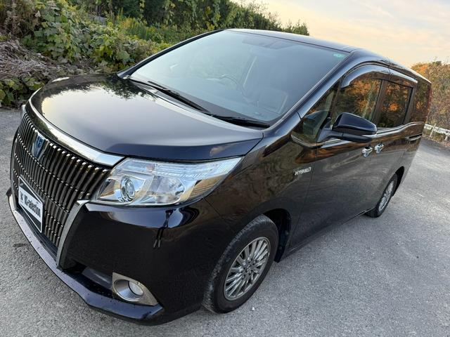 TOYOTA ESQUIRE HYBRID GI