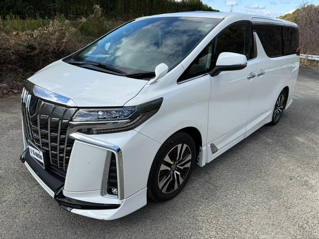 アルファード ２．５Ｓ　Ｃパッケージ　両側電動スライドドア　電動バックドア　フルセグ　Ｂｌｕｅｔｏｏｔｈオーディオ接続可　後席モニター　バックカメラ　ＥＴＣ　オートエアコン　ハンドルヒーター　シートヒーター　シートエアコン　スマートキー（46枚目）