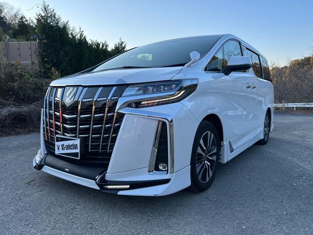 アルファード ２．５Ｓ　Ｃパッケージ　両側電動スライドドア　電動バックドア　フルセグ　Ｂｌｕｅｔｏｏｔｈオーディオ接続可　後席モニター　バックカメラ　ＥＴＣ　オートエアコン　ハンドルヒーター　シートヒーター　シートエアコン　スマートキー（47枚目）