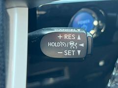 ץꥦ 㳲ʪ󥵡ѡ󥰥ȡɻߡȥ饤 0708174A30251206W002 2