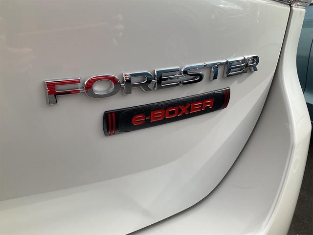 X-ブレイク ドライバーモニタリングシステム アイサイトセイフティプラス パワーリヤゲート 運転席&助手席パワーシート アダプティブクルコン LEDヘッド アルミホイール アイドリングS リバース連動ドアミラー(17枚目)