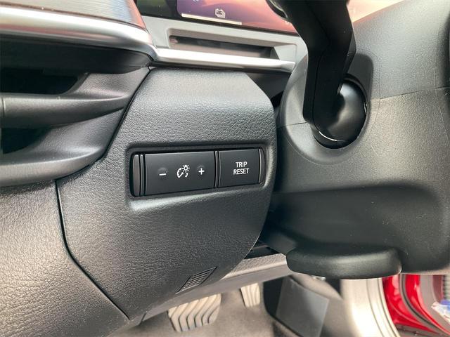 G レザーエディション 登録済み未使用車 全周囲カメラ ナビ クリアランスソナー アダプティブクルーズコントロール 衝突被害軽減システム アルミホイール LEDランプ 革シート スマートキー 電動格納ミラー シートエアコン(27枚目)