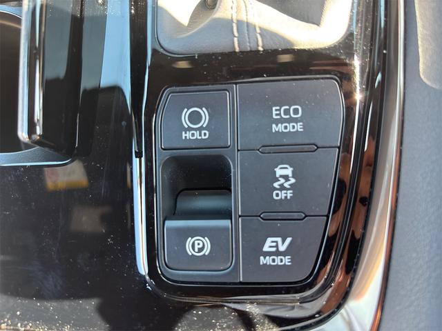 アルファードハイブリッド Ｚ　全周囲カメラ　ナビ　クリアランスソナー　オートクルーズコントロール　レーンアシスト　衝突被害軽減システム　両側電動スライドドア　オートマチックハイビーム　ＬＥＤヘッドランプ　電動リアゲート（31枚目）