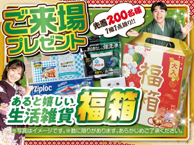 スペーシアカスタム ハイブリッドXSターボ ナビフルセグ マット ドラレコ前 ETC バックカメラ 両側電動スライドドア クリアランスソナー オートクルーズコントロール レーンアシスト 衝突被害軽減システム オートライト スマートキー(33枚目)