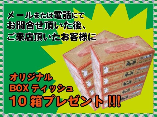 G デュアルカメラブレーキサポート 届出済未使用車(3枚目)