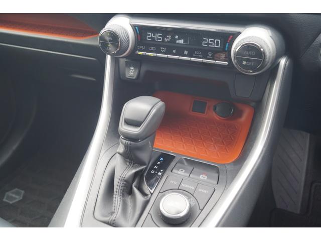 ＲＡＶ４ アドベンチャー　４ＷＤ　アルパイン９インチナビ（20枚目）