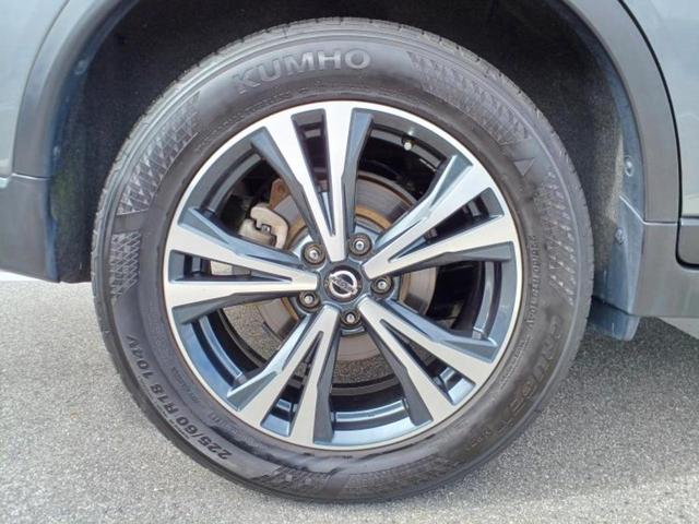 �u���̎Ԃ̎ʐ^�������ƌ������v�u��Ԃ��C�ɂȂ�v�u���̑����͂��Ă���H�v�ǂ�ȏ����ȋ^��ł����C�y�ɂ��₢���킹���������I