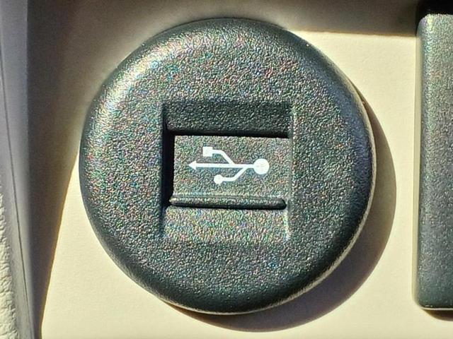 アルトラパン S 新品タイヤ/社外 SDナビ/レーダーブレーキサポート(スズキ)/シートヒーター 運転席/全方位モニター/ヘッドランプ HID/USBジャック/Bluetooth接続/ETC/EBD付ABS DVD再生(34枚目)